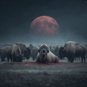 Image for 'BORN_TO_DIE'