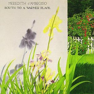 Image for 'South to a Warmer Place'