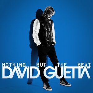 'Nothing But the Beat (US Edition)' için resim