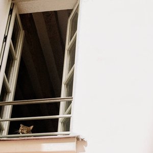 Immagine per 'Something Soft'