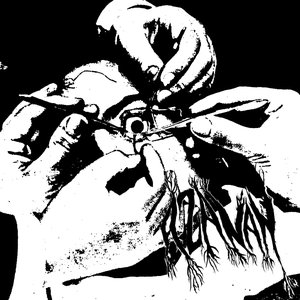 Image for 'Instrumental Demo #1'