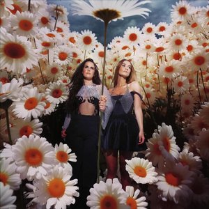 Image for 'The Death Of Daisies'