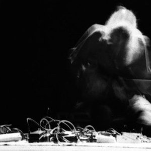 Image for 'Koen Holtkamp'