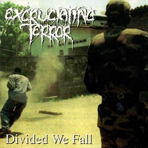 Image for 'Divided We Fall'