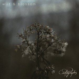Imagen de 'Wilt & Blossom'