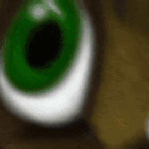 Image for 'Psycho Teddy'