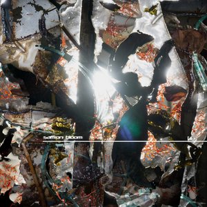 Image for 'Saffron Bloom'