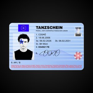 Image for 'TANZSCHEIN'