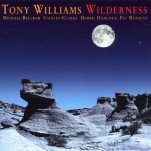Image for 'Wilderness'