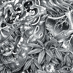 Image for 'Houou'