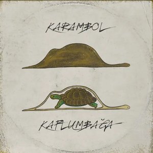 Image for 'Kaplumbağa'