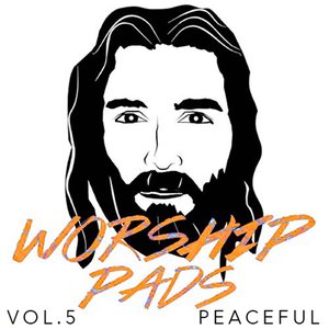 Image for 'Peaceful, Vol. 5'