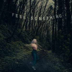 Image for 'Feel Something'