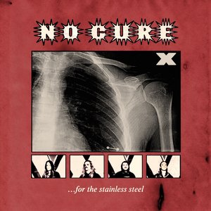 Image pour '...For The Stainless Steel'