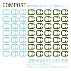 Image for 'Compost Downbeat Selection, Vol. 3 - Cherish Your Love - Moody Twilight Vibes'