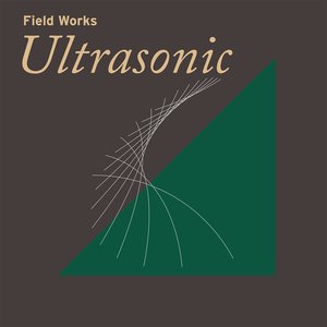 Immagine per 'Field Works: Dusk Tempi'