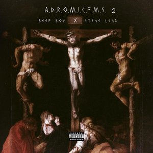 Image for 'A​.​D​.​R​.​O​.​M​.​I​.​C​.​F​.​M​.​S. 2'