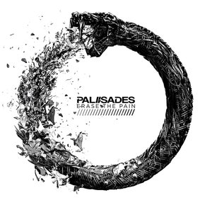Image for 'Erase The Pain'