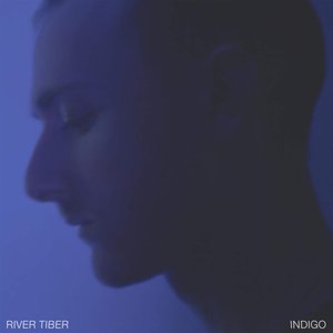 Image for 'Indigo'
