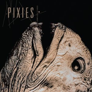 Image for 'Complete B Sides: 1988-97 (Remaster)'
