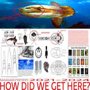Immagine per 'HOW DID WE GET HERE?: 2021-2024'