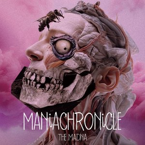 Image for 'MANiACHRONiCLE'