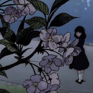Image for 'Cherry Blossoms'