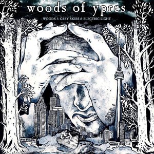 Zdjęcia dla 'Woods V: Grey Skies & Electric Light'