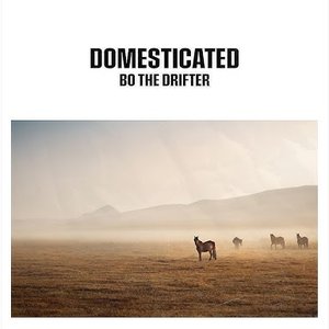Image for 'Domesticated'