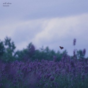 Image for 'still alive'