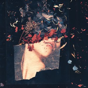 Image for 'How Strange'