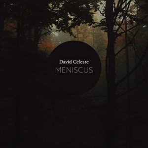 Image for 'Meniscus'