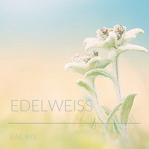 Image for 'Edelweiss'