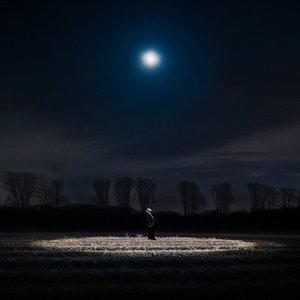 Image for 'Night Light'