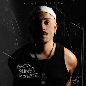 Immagine per 'Artă, sunet, poezie'