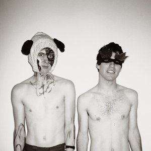 Bild för 'Avey Tare and Panda Bear'