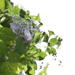 Image for 'Pods'
