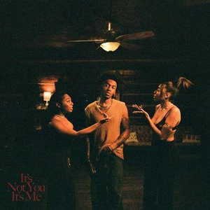 Image for 'it's not you, it's me'