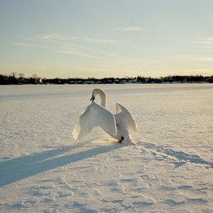 Image for 'Sigil'