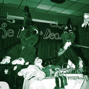 Image for 'Frog Concert'