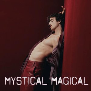 Image for 'Mystical Magical'