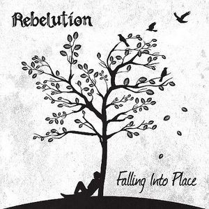 Image for 'Falling Into Place'