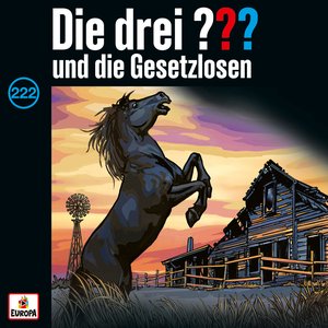 'Folge 222: und die Gesetzlosen' için resim