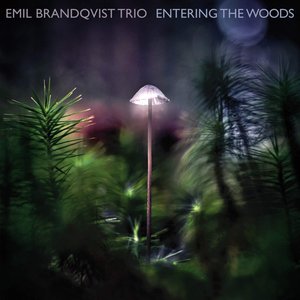 Image for 'Entering The Woods'