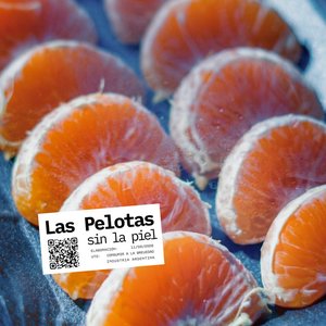 Imagem de 'Sin la Piel'