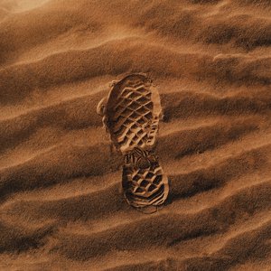 Image pour 'WALK'