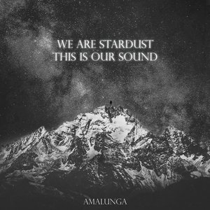 Bild für 'We Are Stardust, This Is Our Sound'