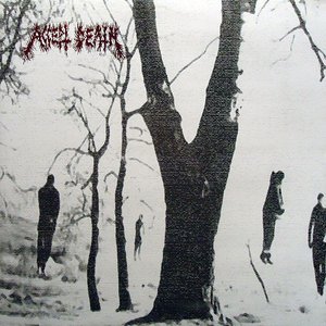 Image for 'Accept Death'