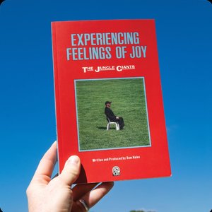 Image for 'Experiencing Feelings of Joy'
