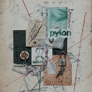 Image pour 'Pylon'